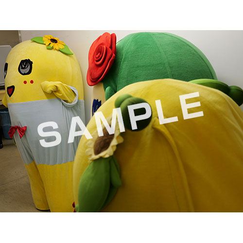 【274ch.会員限定】2024年4月バスツアー L版5枚セットNO.24 メイン