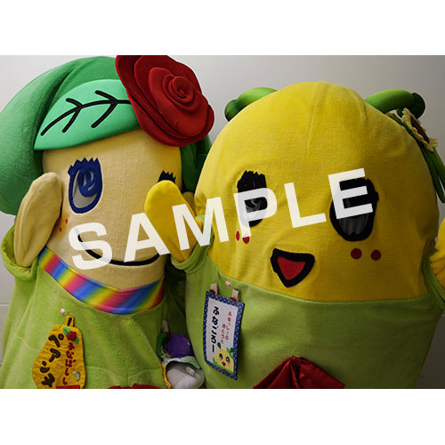 【274ch.会員限定】2024年4月バスツアー L版5枚セットNO.25 メイン