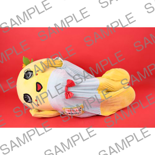 2024年12月オンラインバスツアー　マルベル堂 撮影写真 NO.3