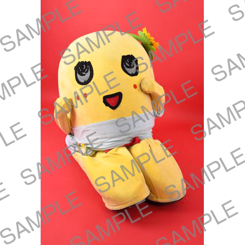 2024年12月オンラインバスツアー　マルベル堂 撮影写真 NO.4