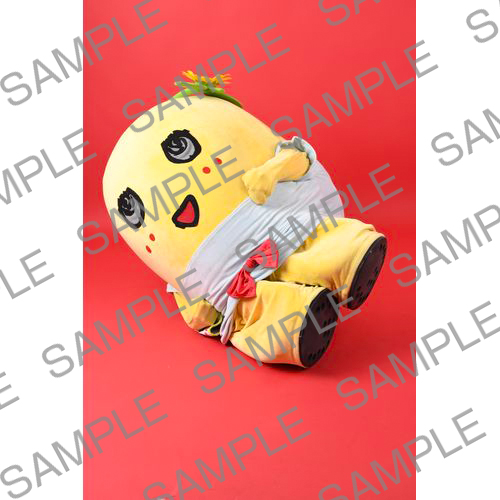 2024年12月オンラインバスツアー　マルベル堂 撮影写真 NO.5