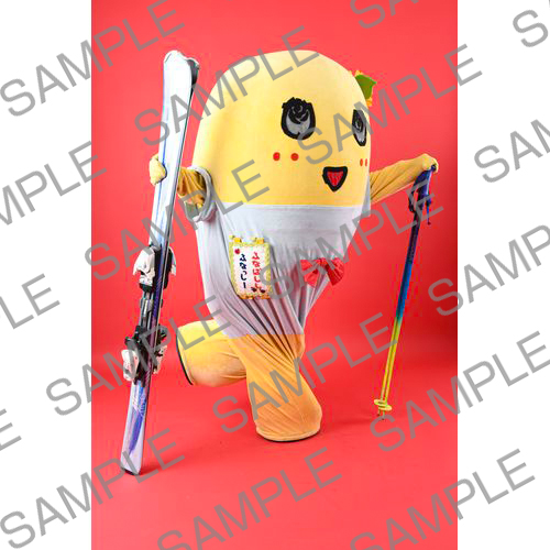 2024年12月オンラインバスツアー　マルベル堂 撮影写真 NO.6