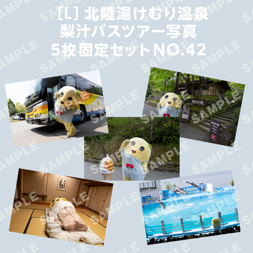 北陸湯けむり温泉梨汁バスツアー写真　L版5枚固定セットNO.42