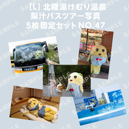 北陸湯けむり温泉梨汁バスツアー写真　L版5枚固定セットNO.47