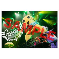 ふなっしー 絶ブシャー祭り2017～梨祭NASSYI FES.～