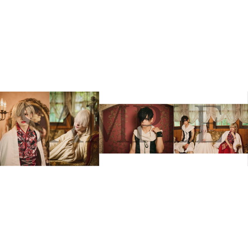 日本武道館単独禊 慈愚挫愚 記念ブロマイド A 