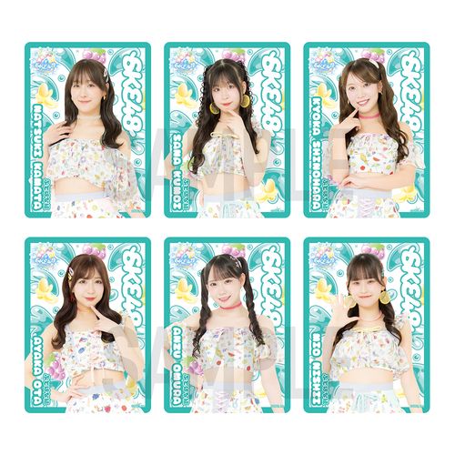 【ぶどばな組】SKE48 SUMMER Tour 2026クリアトレーディングカード（ランダム全12種＋特別仕様全12種）