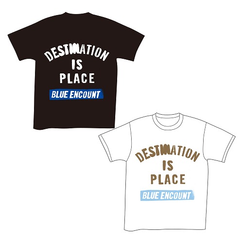 DESTINATION IS“PLACE”TOUR TOUR T-SHIRTS