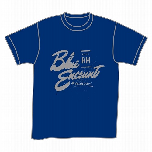 2015 SPRING NEW COLOR ロゴTシャツ 紺×銀　