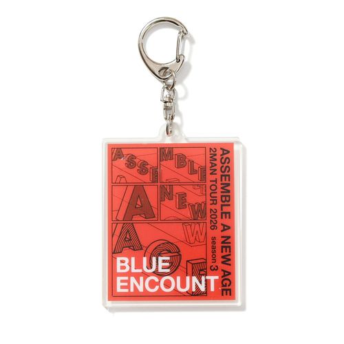 Random Acryl Keychain