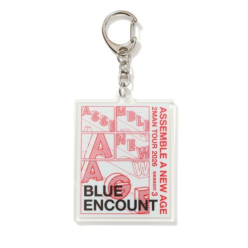 Random Acryl Keychain
