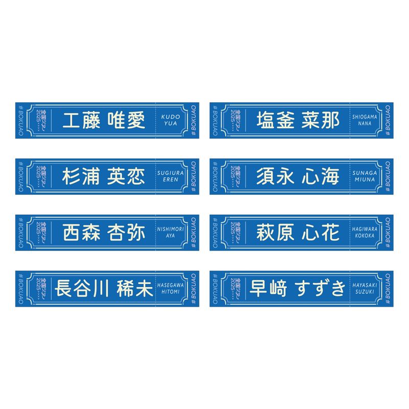 【通常配送】「全国ツアー2025」個別マフラータオル
