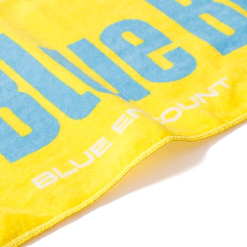 24S Towel