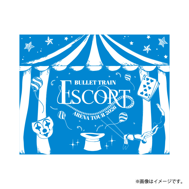 商品詳細ページ | ONLINE SHOP スタダ便 会場受取 | 【会場受取】超