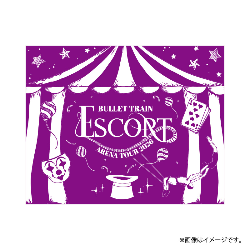 商品詳細ページ | ONLINE SHOP スタダ便 会場受取 | 【会場受取】超