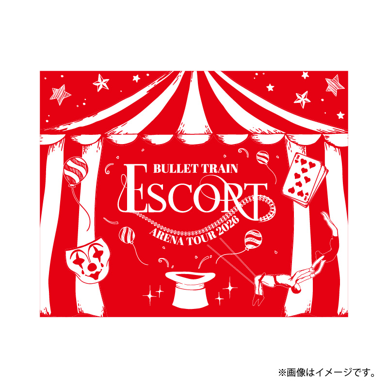 商品詳細ページ | ONLINE SHOP スタダ便 会場受取 | 【会場受取】超