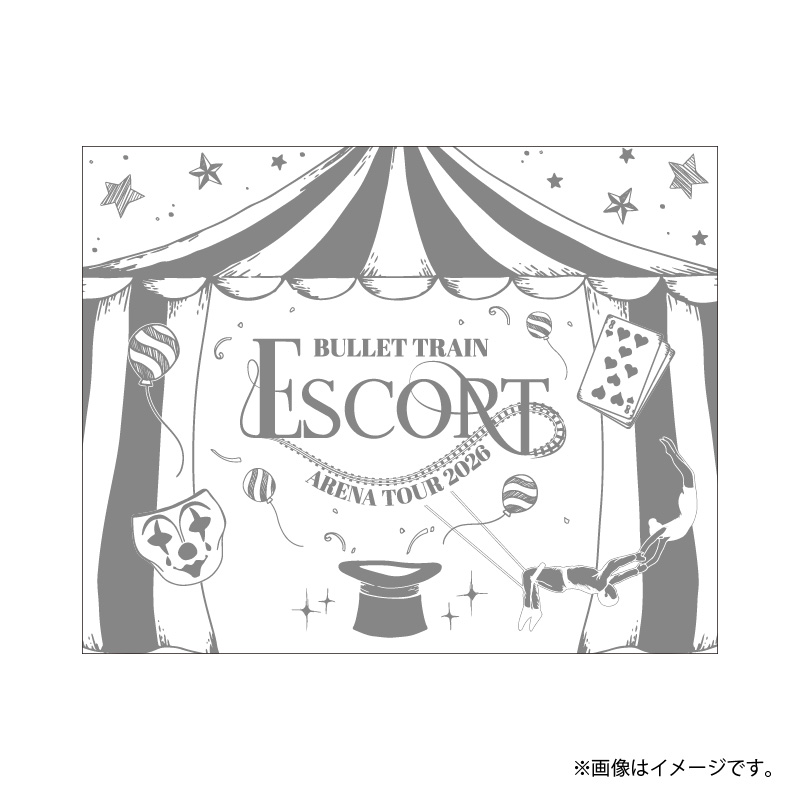 商品詳細ページ | ONLINE SHOP スタダ便 会場受取 | 【会場受取】超