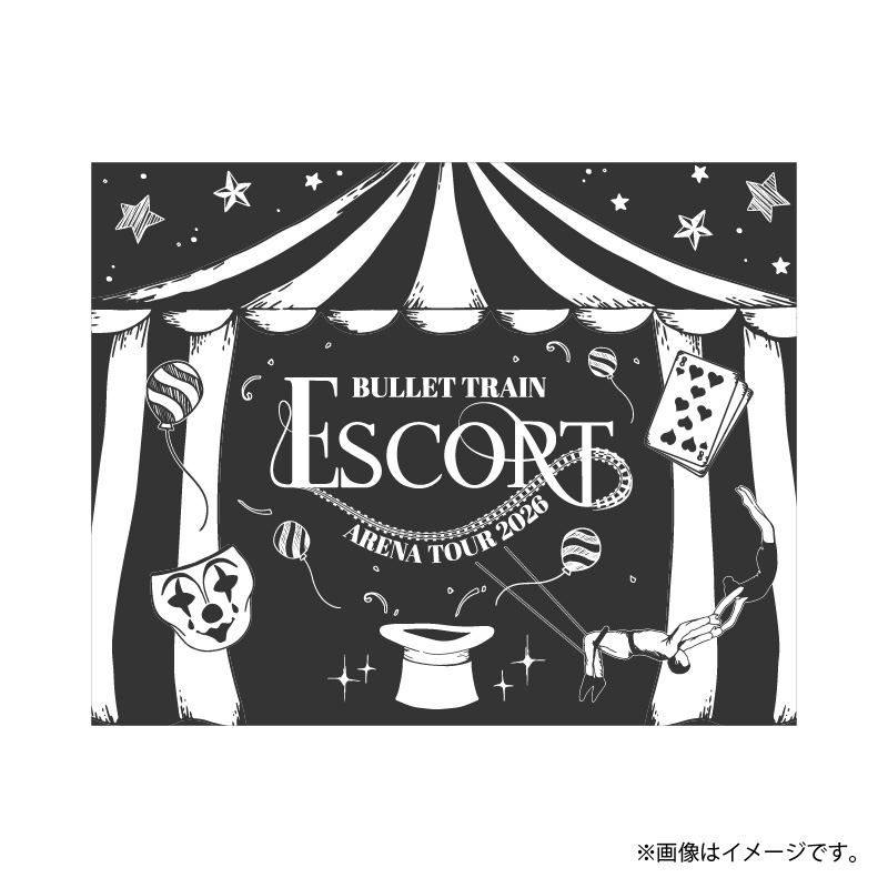 商品詳細ページ | ONLINE SHOP スタダ便 会場受取 | 【会場受取】超
