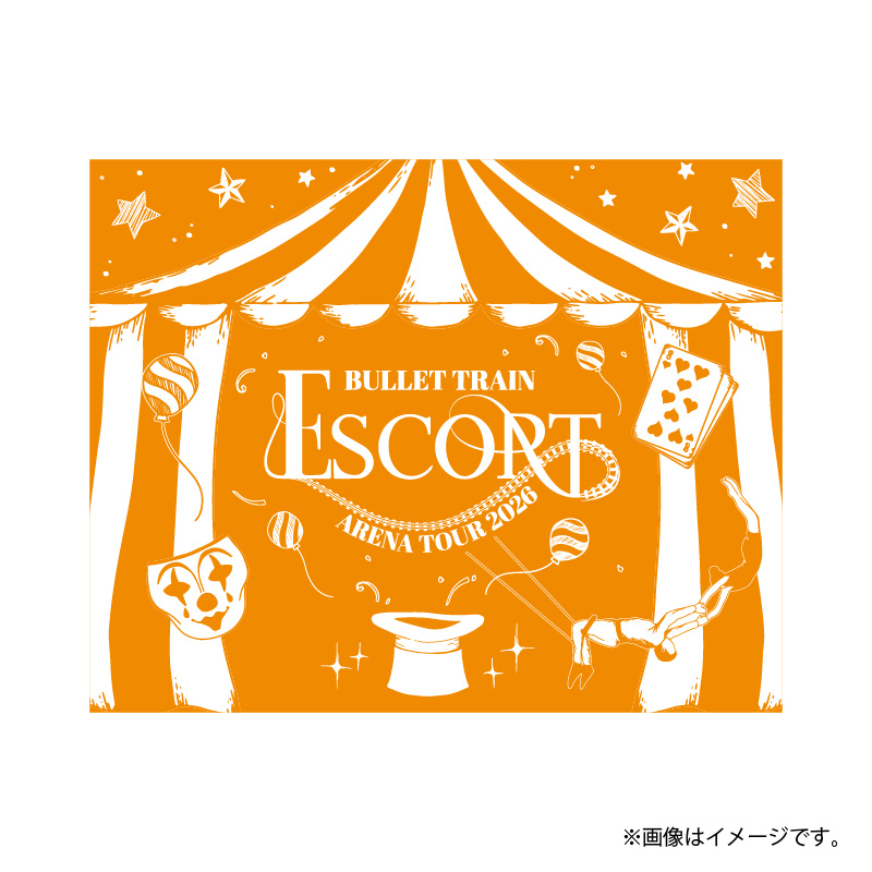 商品詳細ページ | ONLINE SHOP スタダ便 会場受取 | 【会場受取】超