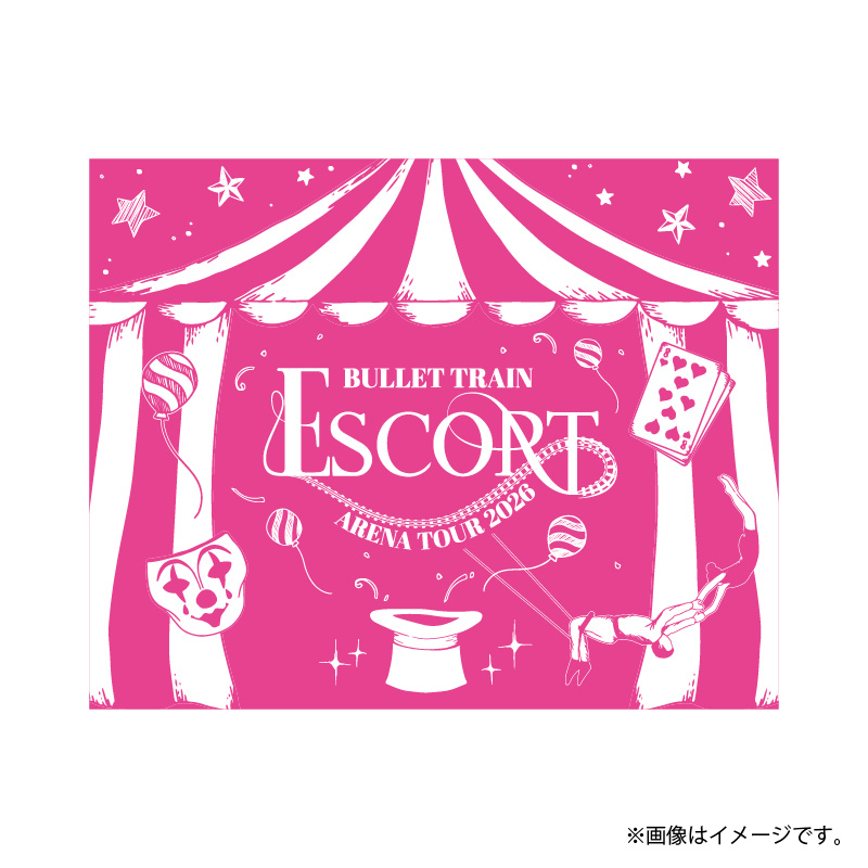 超特急 ペンライト ESCORT ARENA TOUR 【公式通販】