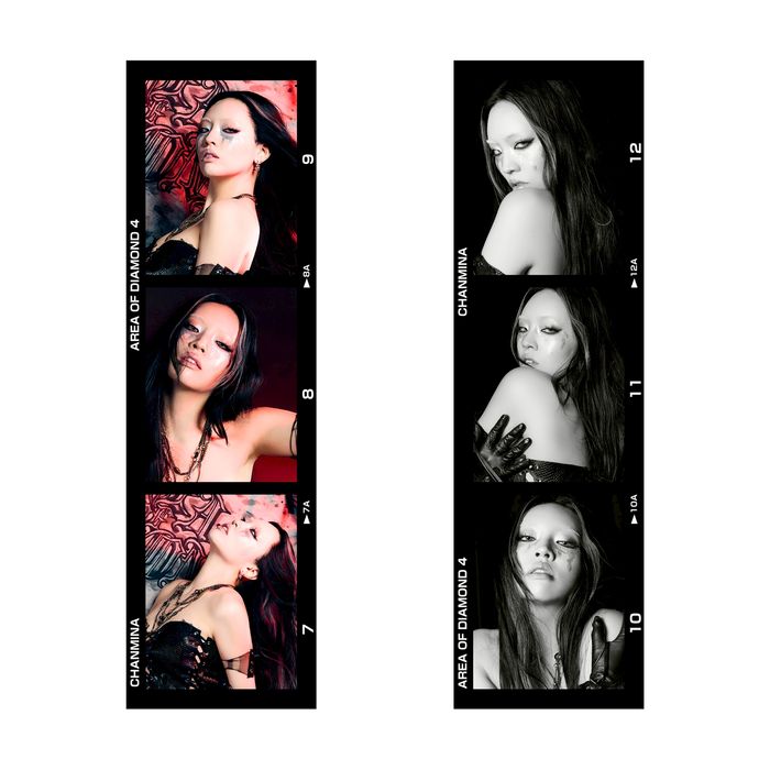 AOD4 STICKER SHEET(Random 3 Types)