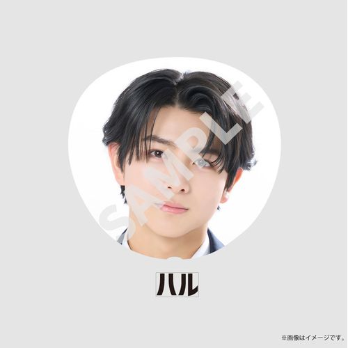 商品詳細ページ | ONLINE SHOP スタダ便 | [EBiDAN]EBiDAN THE LIVE