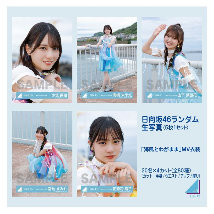 商品詳細ページ | 日向坂46 OFFICIAL GOODS STORE | 【通常配送】日