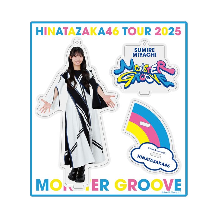 商品詳細ページ | 日向坂46 OFFICIAL GOODS STORE | 【通常配送