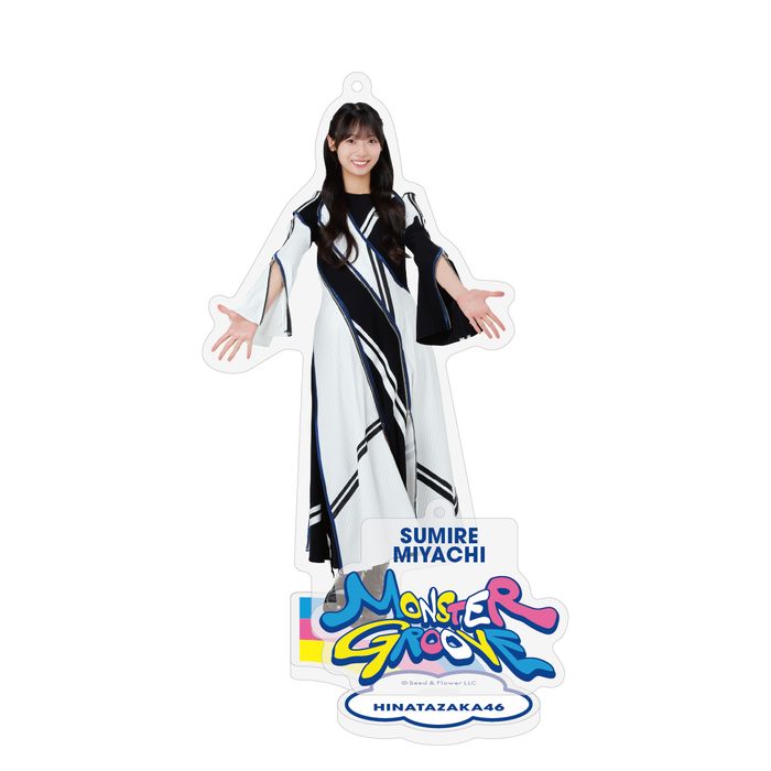 商品詳細ページ | 日向坂46 OFFICIAL GOODS STORE | 【通常配送