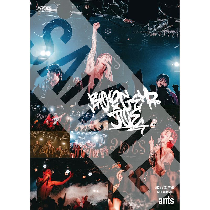 【07/30 岐阜】BOOGER JOE ライブポスター