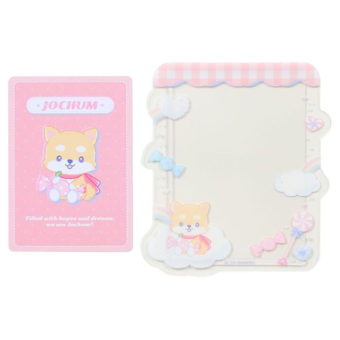 シークレット硬質カードケース＆カード（全11種/キャンディデザインシリーズ）