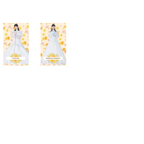 STU48 ランダム全身ステッカー(ウエディングドレス)