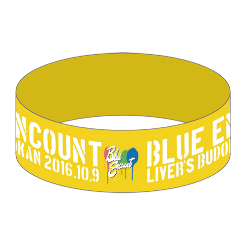 LIVER'S武道館ラババン