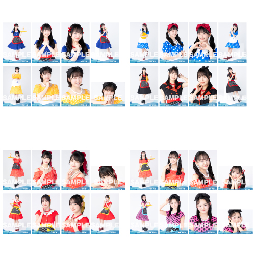 【ネコポス便】STU48 2024年5月度ランダム生写真5枚セット