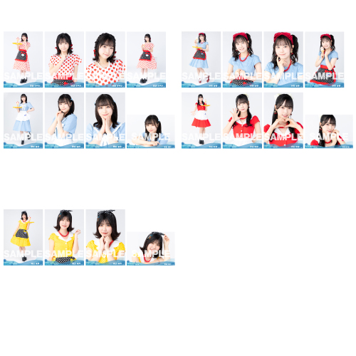 【ネコポス便】STU48 2024年5月度ランダム生写真5枚セット