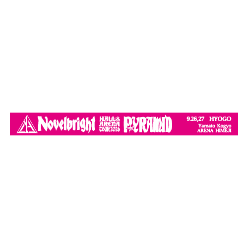 【11】PYRAMID ラバーバンド[兵庫]