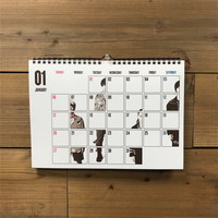 2019 オーラルカレンダー