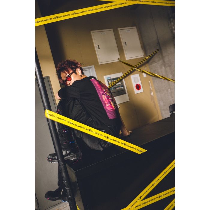 〈BUG OVER SILK PRINT WEAR〉Tシャツ