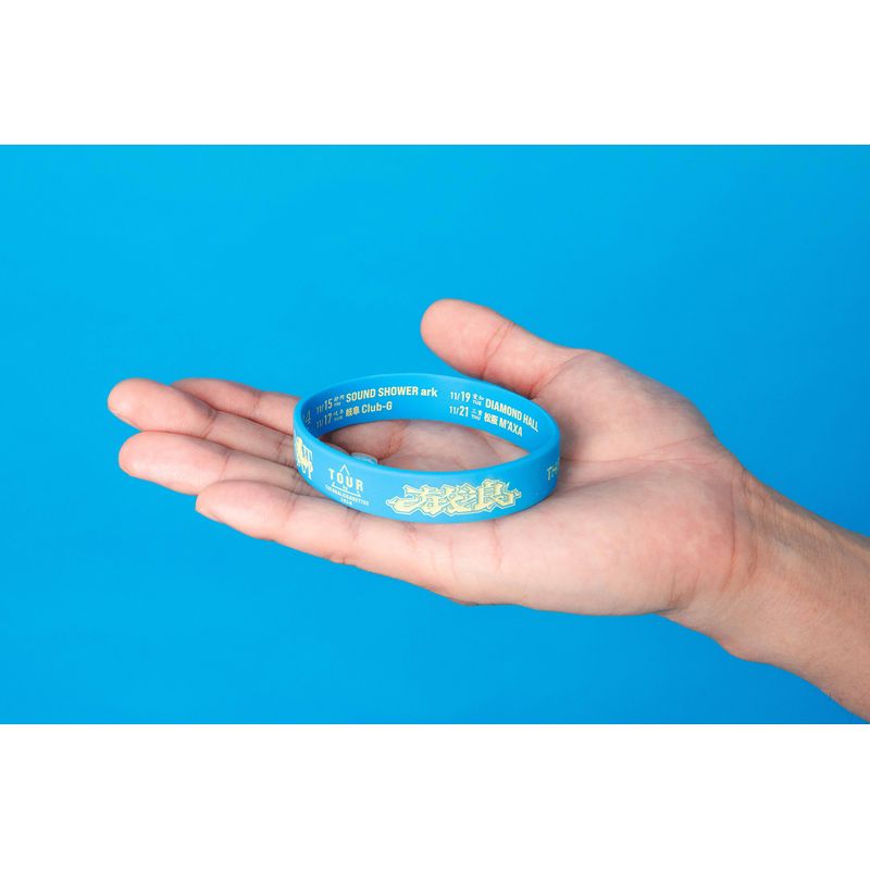 WANDER ABOUT 放浪 TOUR ラバーバンド 東海ver.