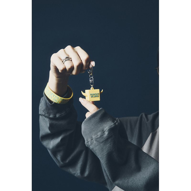 PD'24キューブチャーム