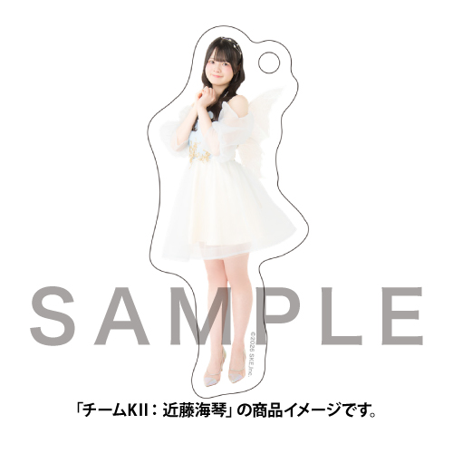 【SKE48 Family会員限定】 Vol.13 ミニアクリルキーホルダー（Fairy） チームKII