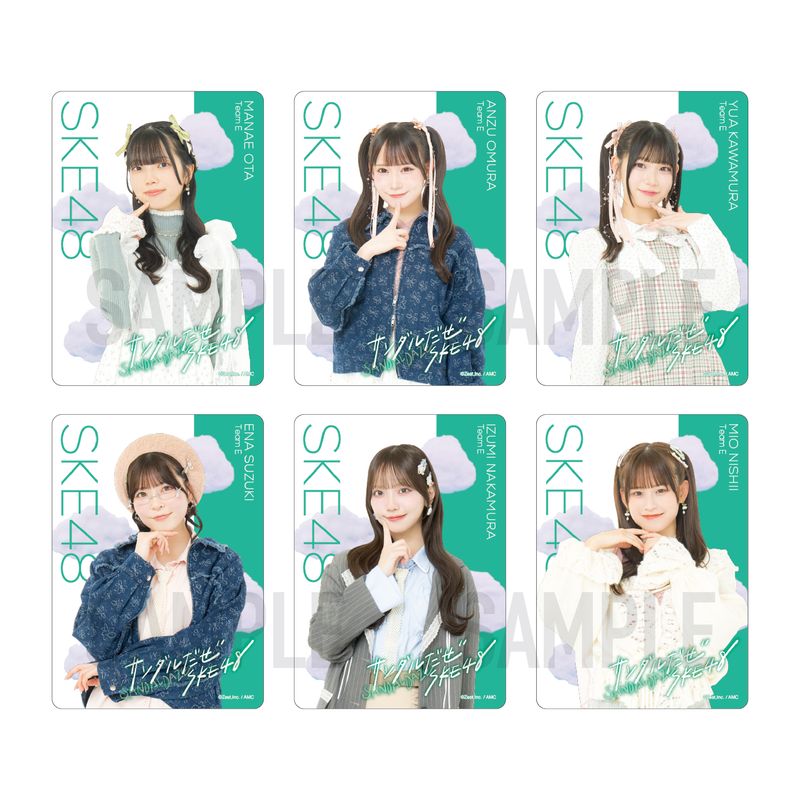 36th SG「サンダルだぜ」チーム別クリアトレーディングカード（ランダム全14種+特別仕様14種）【チームE】