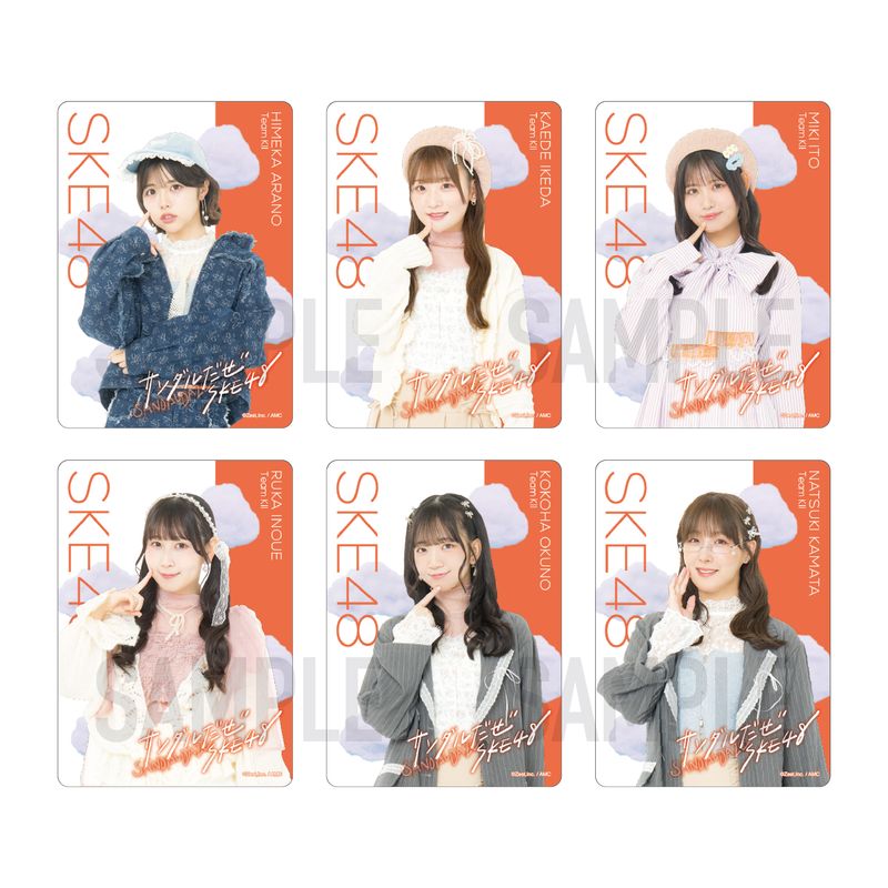 36th SG「サンダルだぜ」チーム別クリアトレーディングカード（ランダム全13種+特別仕様13種）【チームKⅡ】