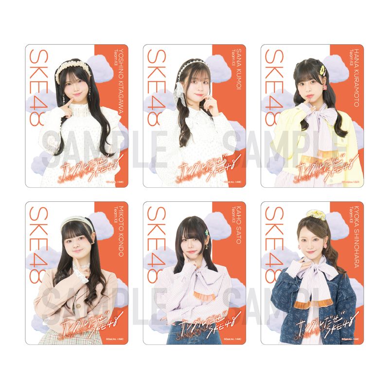 36th SG「サンダルだぜ」チーム別クリアトレーディングカード（ランダム全13種+特別仕様13種）【チームKⅡ】