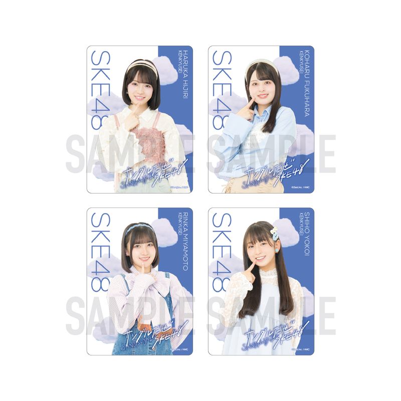 36th SG「サンダルだぜ」チーム別クリアトレーディングカード（ランダム全10種+特別仕様10種）【研究生】