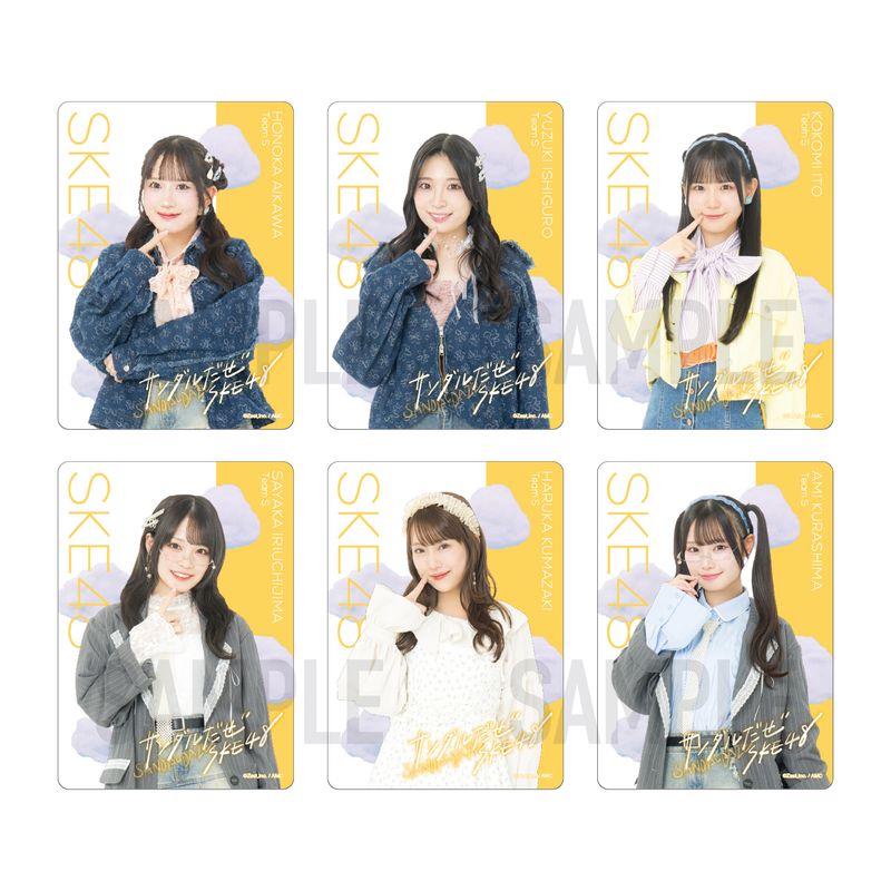 36th SG「サンダルだぜ」チーム別クリアトレーディングカード（ランダム全15種+特別仕様15種）【チームS】