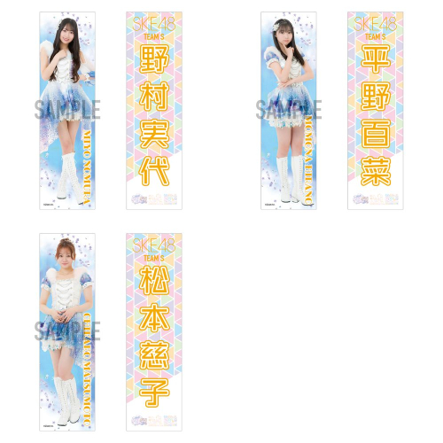 SKE48　メンバー別推しステッカー2枚セット(チームS)