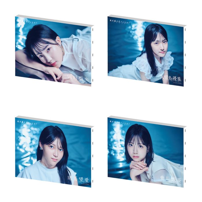 STU48 11th Single 「地平線を見ているか？」個別F4キャンバスボード