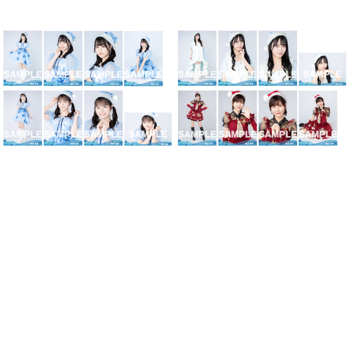 【ネコポス便】STU48 2024年12月度ランダム生写真5枚セット