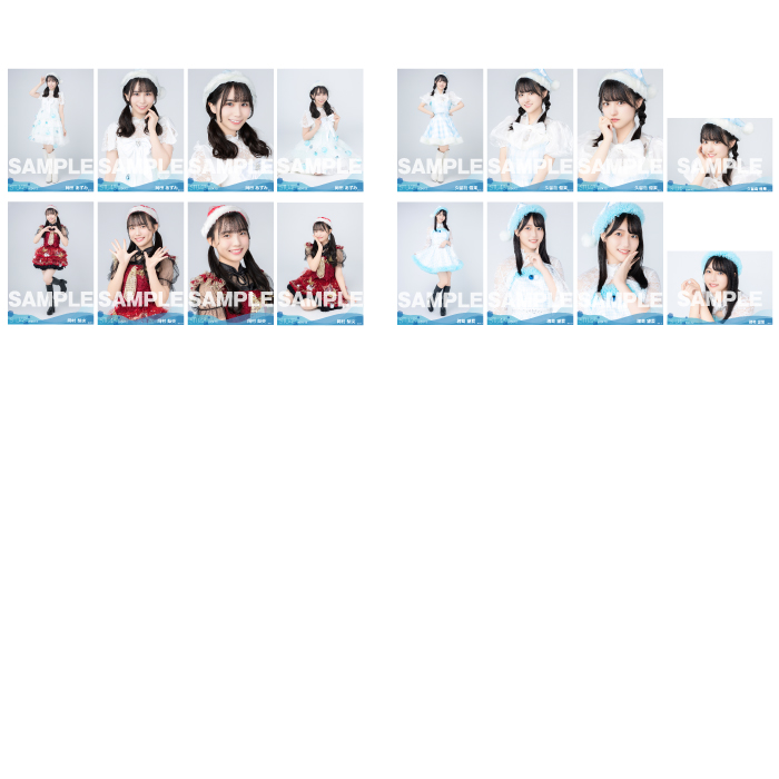 【ネコポス便】STU48 2024年12月度ランダム生写真5枚セット